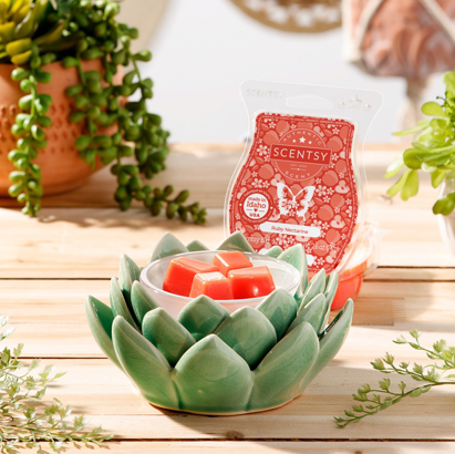 Scentsy Warmer Of The Month Desert Bloom & Ruby Nectarine Scent for April 2022