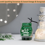Scentsy Warmer Of The Month Sparkling Snowman Sweet Orange Evergreen Scent for November 2022