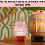 Scentsy Warmer Of The Month A Twine to Unwind & Pink Coconut Scent for February 2023