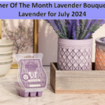 Scentsy Warmer Of The Month Lavender Bouquet & Provence Lavender for July 2024